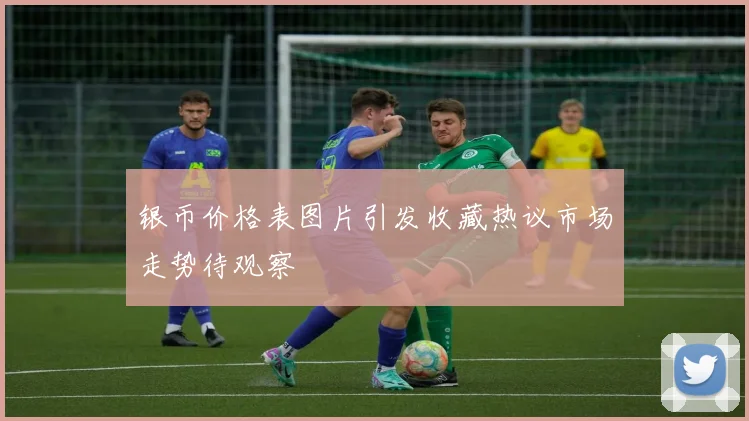 银币价格表图片引发收藏热议市场走势待观察