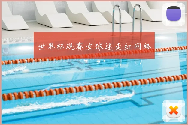 世界杯观赛女球迷走红网络