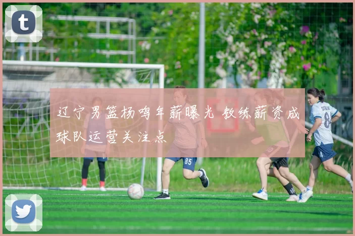 辽宁男篮杨鸣年薪曝光 教练薪资成球队运营关注点