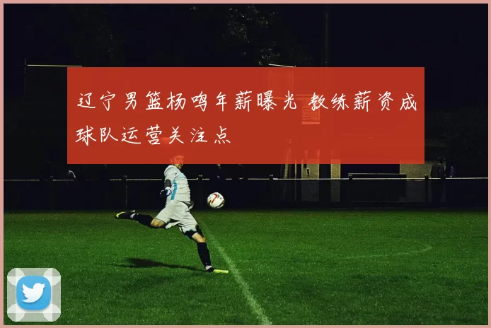 辽宁男篮杨鸣年薪曝光 教练薪资成球队运营关注点