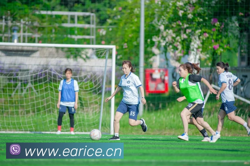 数据防护可视化